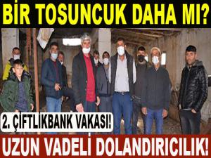 BİR TOSUNCUK DAHA MI?