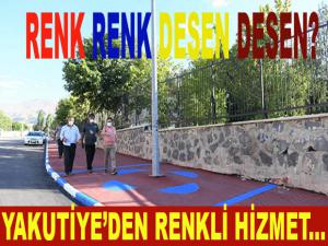 RENK RENK DESEN DESEN?