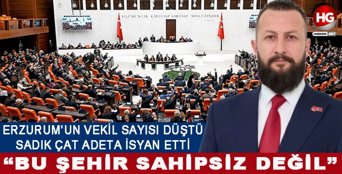 VEKİL SAYISI DÜŞTÜ, SADIK ÇAT VERYANSIN ETTİ!